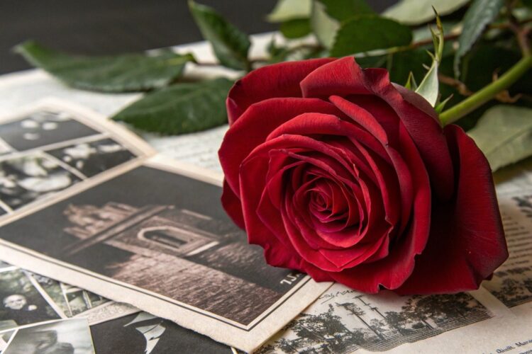 Fête des Mères : 3 idées de cadeaux à offrir à une nouvelle maman