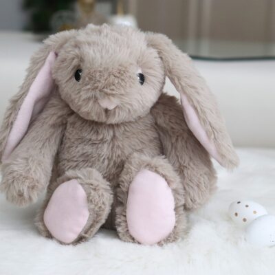 Pourquoi_offrir_une_peluche_à_un_bébé_dès_la_naissance