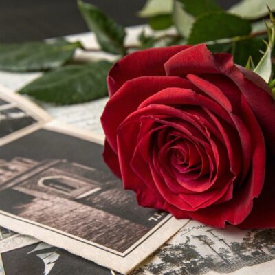 Fête des Mères : 3 idées de cadeaux à offrir à une nouvelle maman