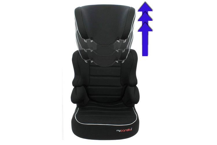 Mycarsit gris et Rehausseur avis