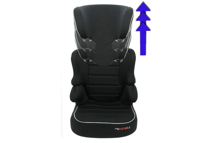 Mycarsit gris et Rehausseur avis