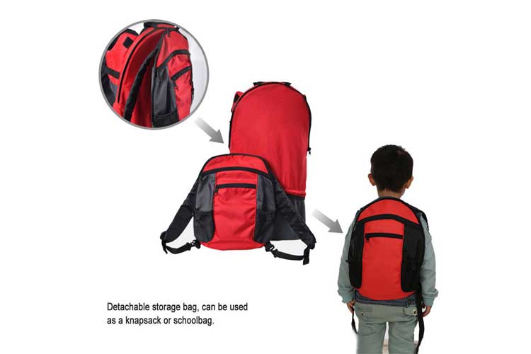 Pawsfiesta Rouge test