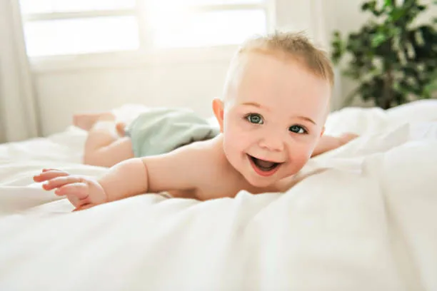 bebe
