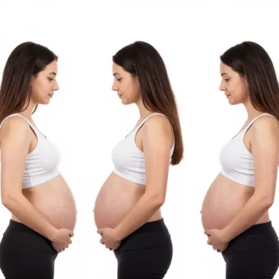 étapes de la grossesse